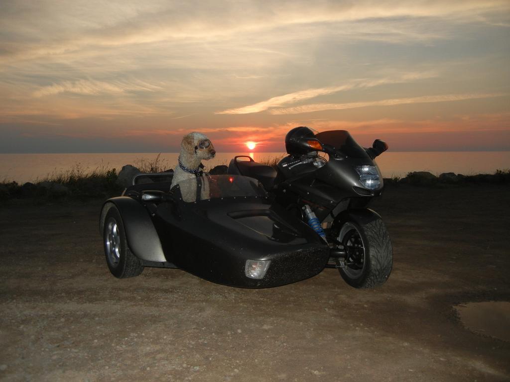The Yellow Sidecar Bed & Breakfast 3*